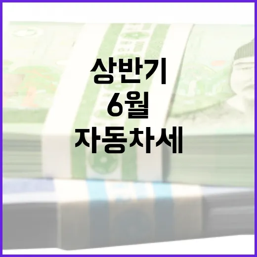 6월 30일까지 상반기 자동차세 납부하세요