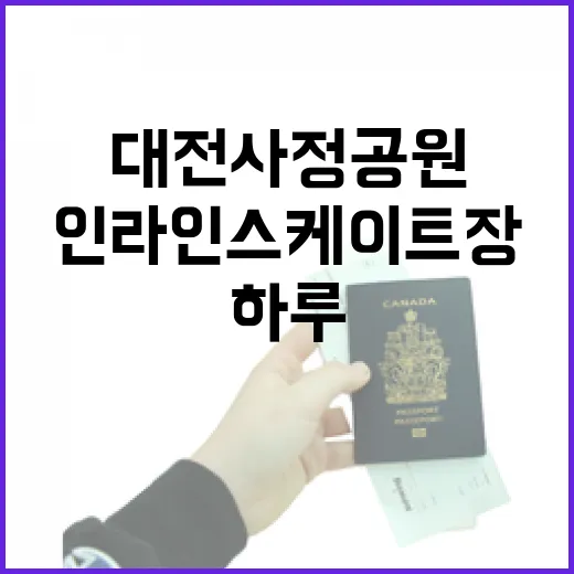 대전 사정공원 인라인스케이트장과 자연의 하루