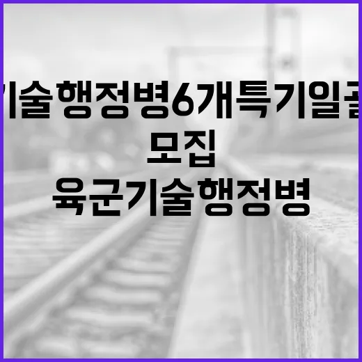 내년 육군 기술행정병 6개 특기 일괄 모집