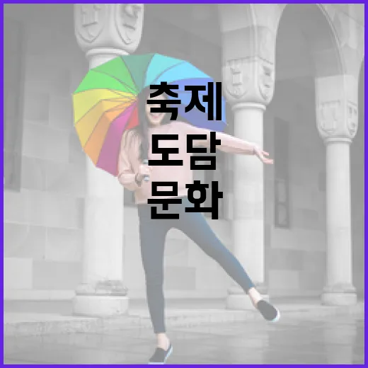 주말N도담, 사계절 문화축제의 장