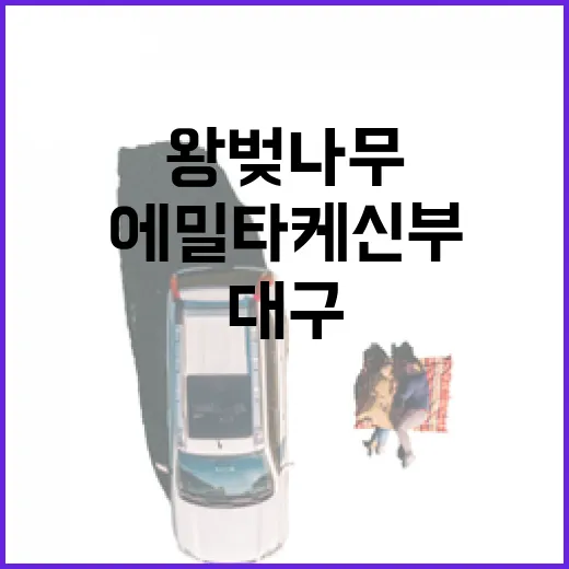 에밀 타케 신부와 대구 왕벚나무 이야기