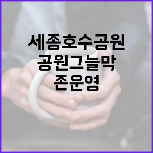 세종호수공원 그늘막 존 운영 시작