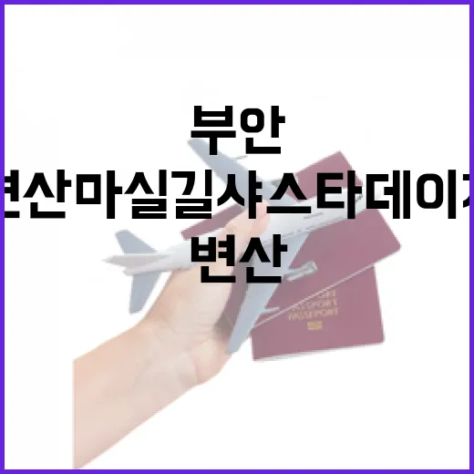 전북 부안 변산마실길 샤스타데이지 명소