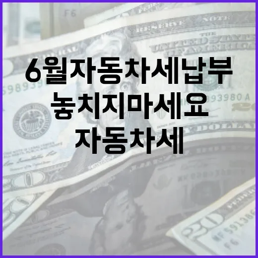 6월 자동차세 납부, 놓치지 마세요