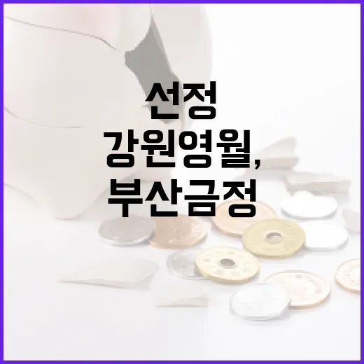 부산 금정·강원 영월, 지역상권 활력 지원 선정