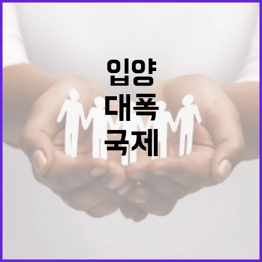 10월부터 국제입양 절차 대폭 강화