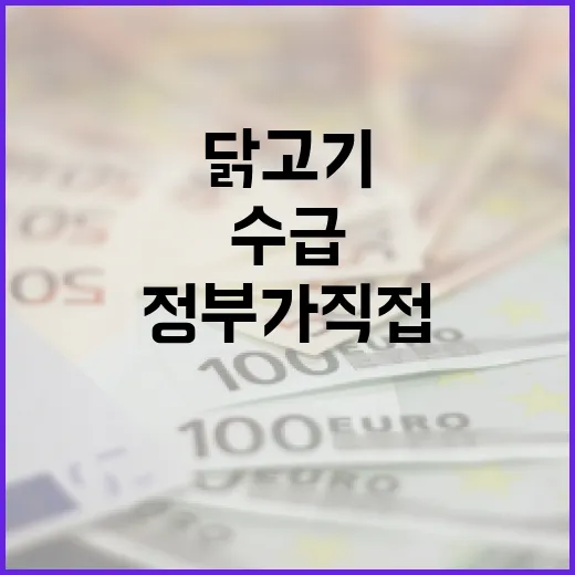 여름철 닭고기 수급과 가격, 정부가 직접 밝힌 진실