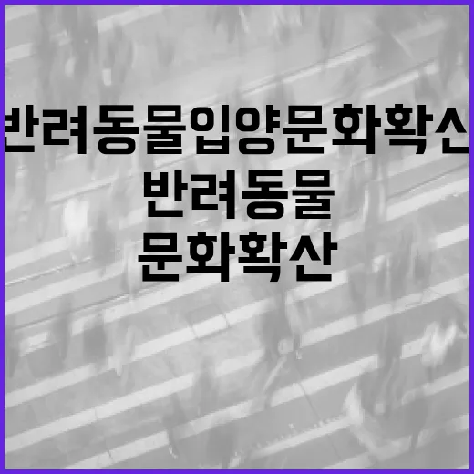 제주, 반려동물 입양 문화 확산 댓글 이벤트
