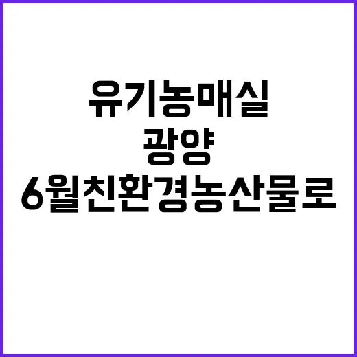 광양 유기농 매실,…