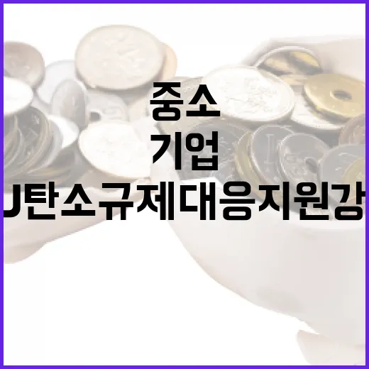중소기업 EU 탄소규제 대응 지원 강화