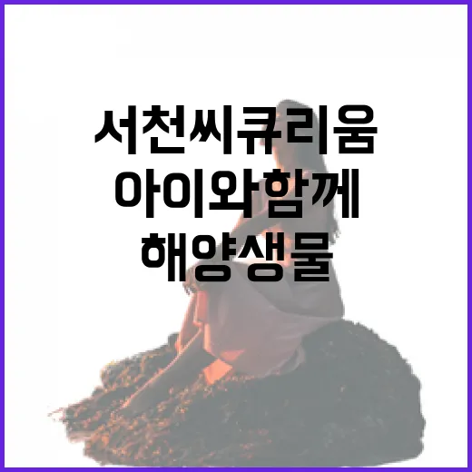 서천 씨큐리움, 아이와 함께하는 해양생물 체험 명소