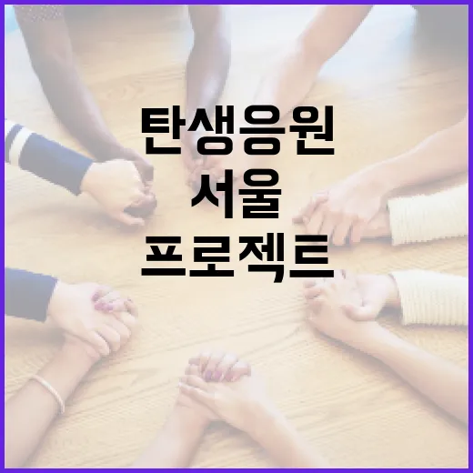서울 탄생응원 프로젝트, 만남부터 결혼 지원까지