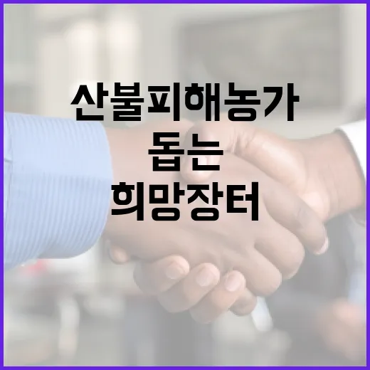 상암문화광장서 산불피해 농가 돕는 희망장터 개장