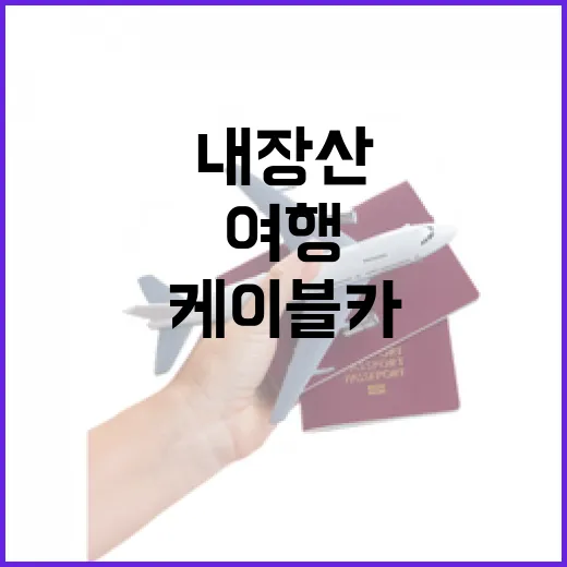 내장산 케이블카로 만나는 사계절 숲속 여행