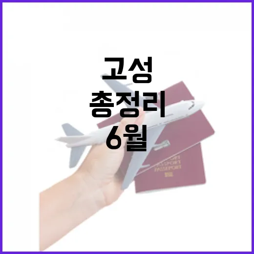 6월 고성 힐링 명소 총정리