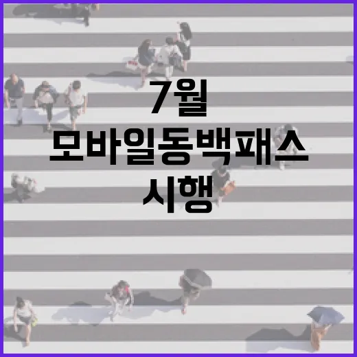 7월부터 모바일 동백패스 본격 시행