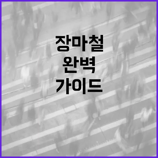 장마철 안전수칙 완벽 가이드