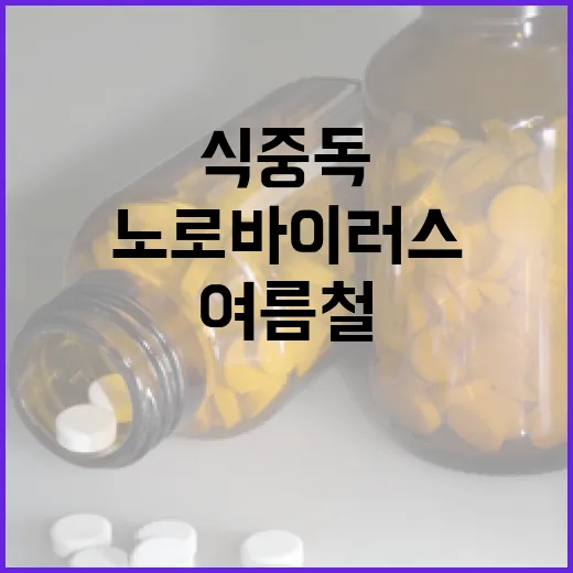 여름철 노로바이러스 식중독 철저 대비