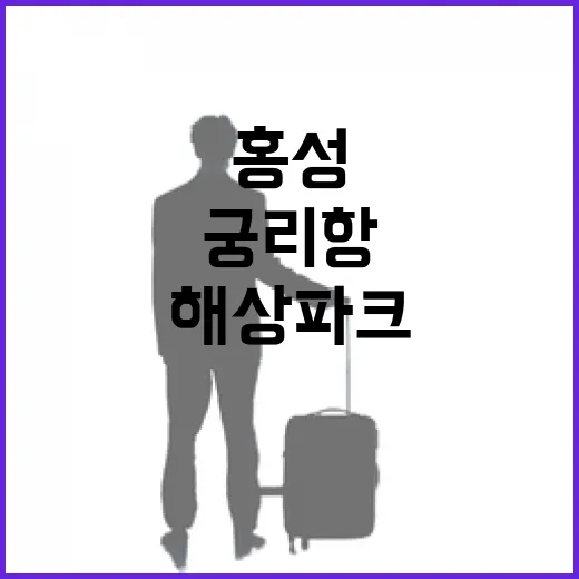 홍성 궁리항 해상파크에서 즐기는 여름 바다