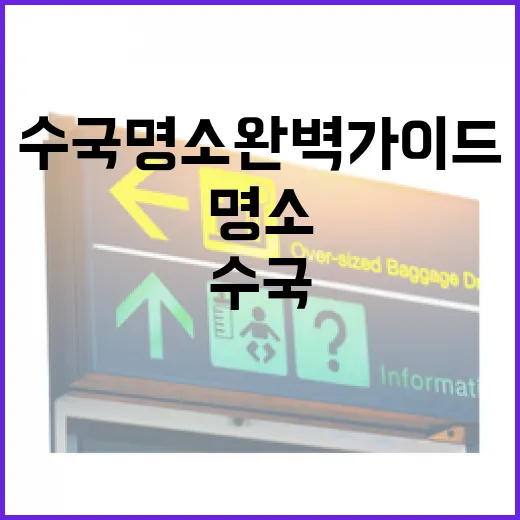 광주 여름 수국 명소 완벽 가이드