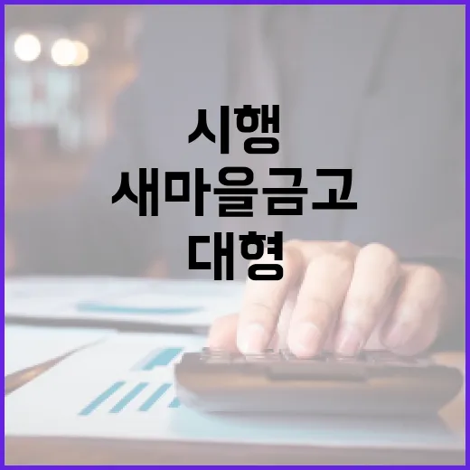 새마을금고 대형금고 상근감사 의무화 시행