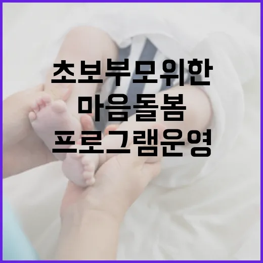초보 부모 위한 마음돌봄 프로그램 운영
