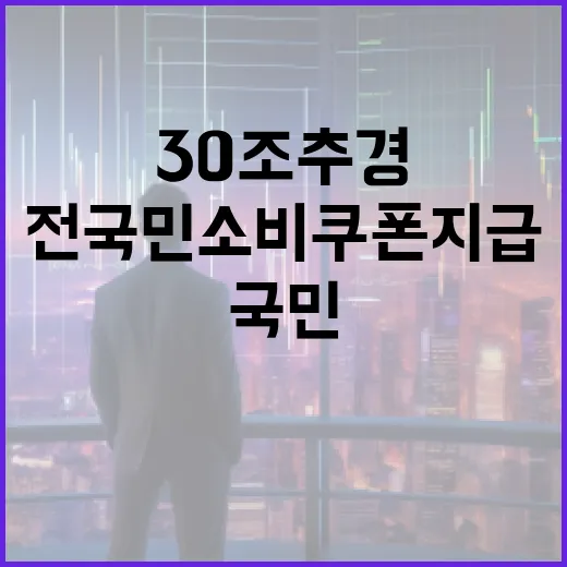 30조 추경 편성, 전 국민 소비쿠폰 지급
