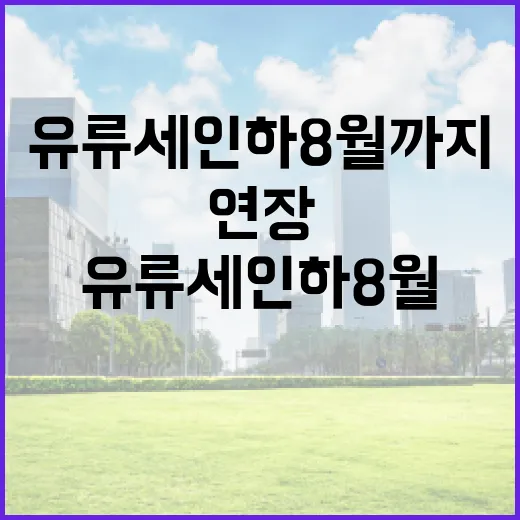 유류세 인하 8월까지 연장, 중동 위기 대응 강화