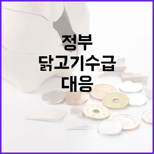 국내 닭고기 수급과 가격 안정에 정부 적극 대응