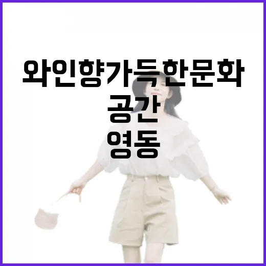 영동 와인터널, 와인 향 가득한 문화 체험 공간