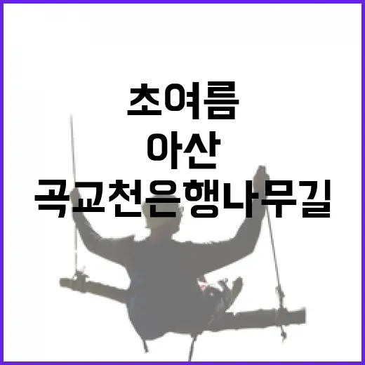 아산 곡교천 은행나무길 초여름 산책