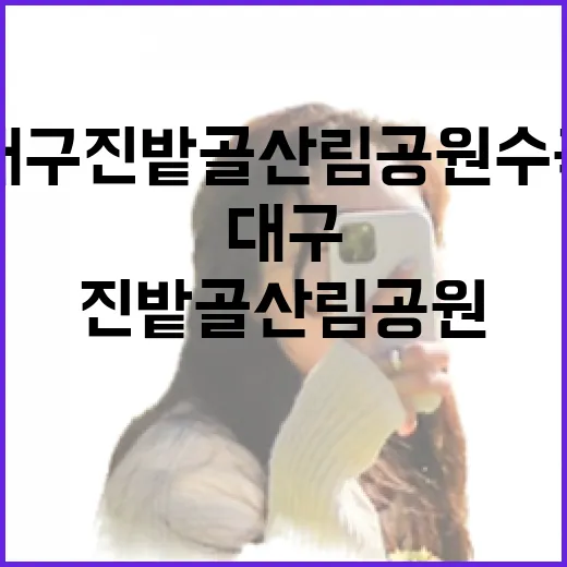 대구 진밭골 산림공원 수국 만개