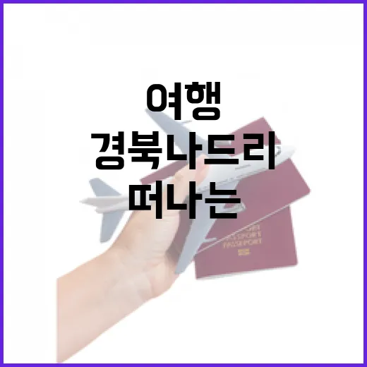 경북나드리로 떠나는 완벽한 경북 여행