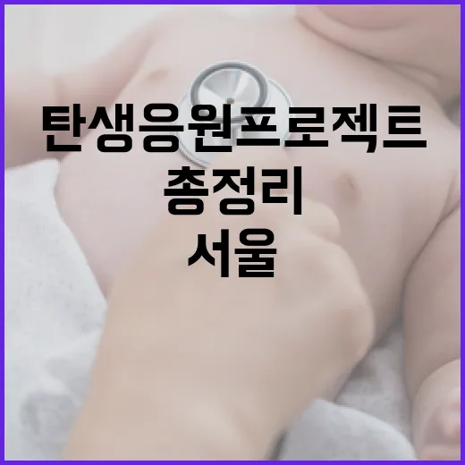 서울 탄생응원 프로젝트 총정리