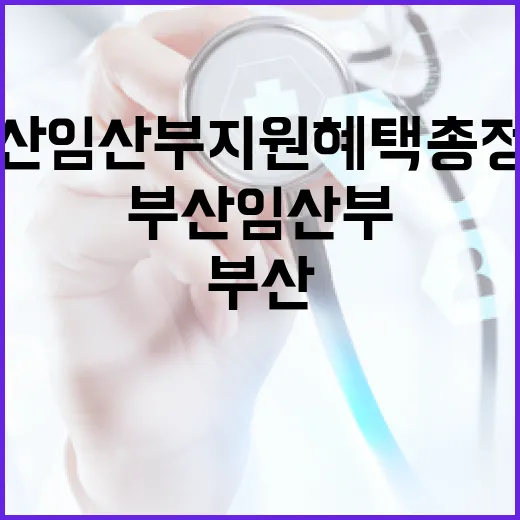 부산 임산부 지원 혜택 총정리