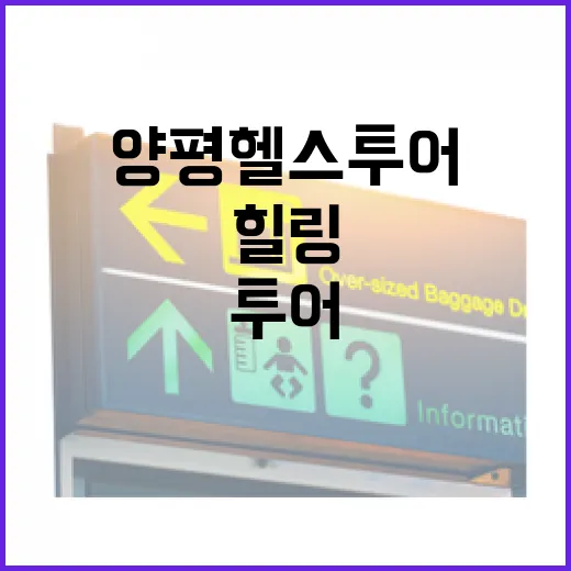 양평헬스투어로 건강과 힐링을