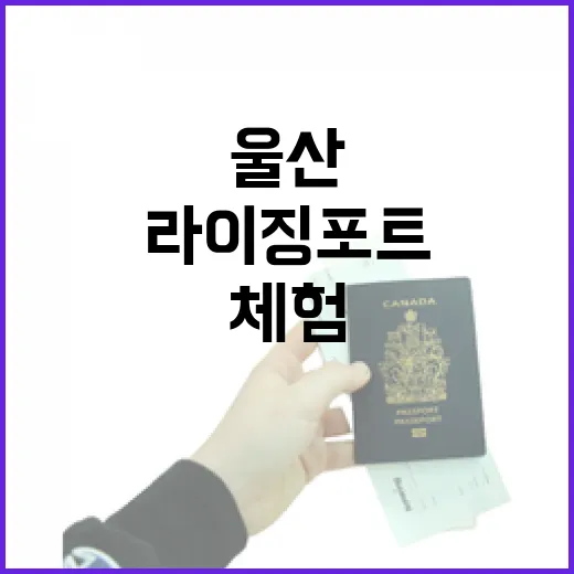 울산 하늘 여행, 라이징 포트 체험