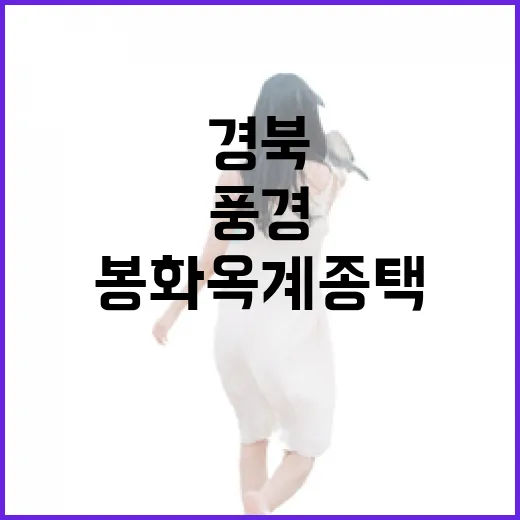 경북 봉화 옥계종택의 여름 풍경