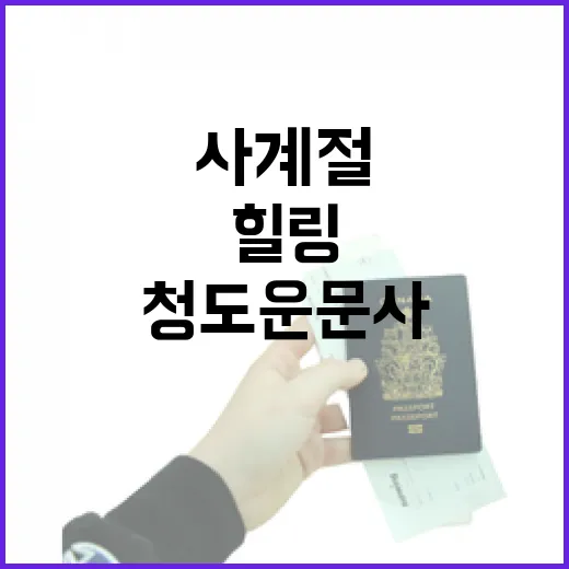사계절 힐링 명소 청도 운문사