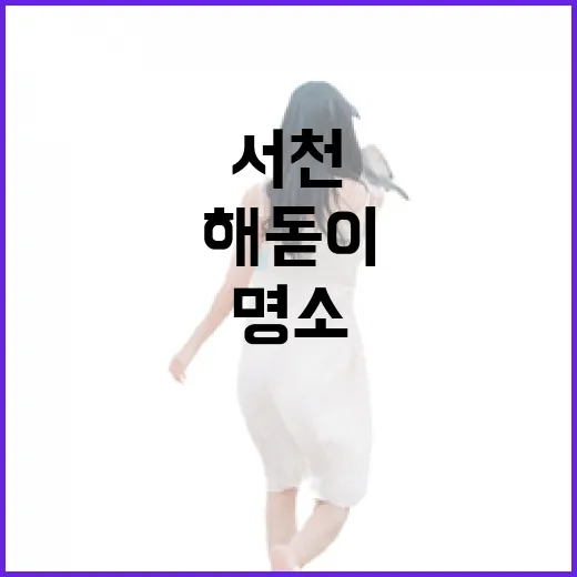 서천 마량포구 해돋이 둘레길 명소