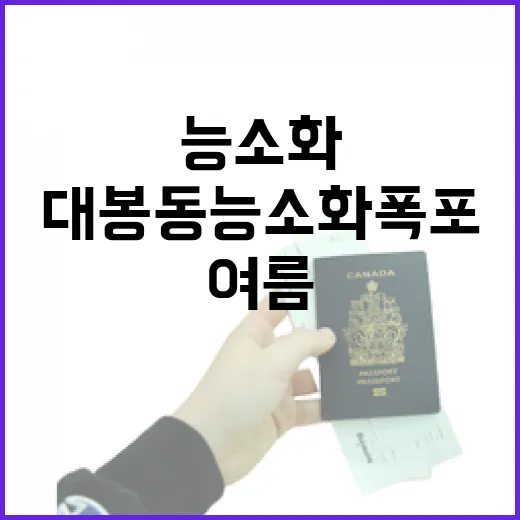 대봉동 능소화폭포, 여름의 황홀한 꽃물결