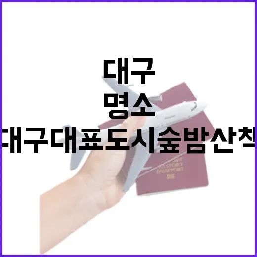 대구대표도시숲 밤 산책 명소