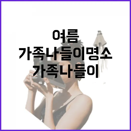 계룡산 여름 풍경과 가족 나들이 명소