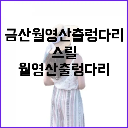 금산 월영산 출렁다리 스릴 만점 체험기