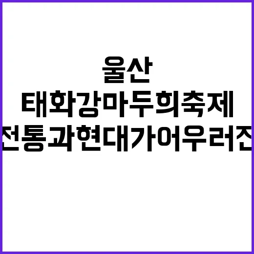 태화강 마두희 축제…