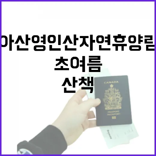 아산 영인산자연휴양림, 초여름 산책과 힐링 명소