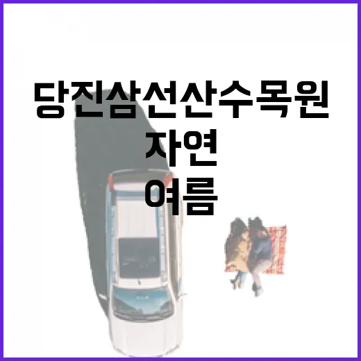 당진 삼선산수목원, 여름 자연 속 힐링 산책