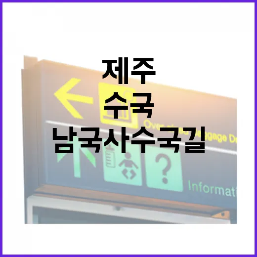 제주 남국사 수국길 힐링 산책