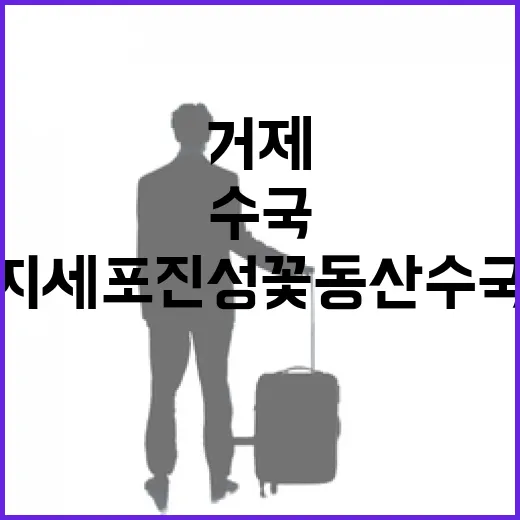 거제 지세포진성꽃동산 수국과 라벤더 만개