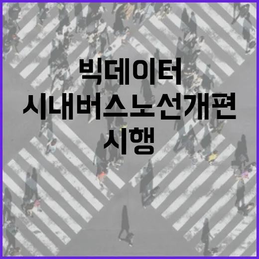 부산 빅데이터 시내버스 노선개편 첫 시행